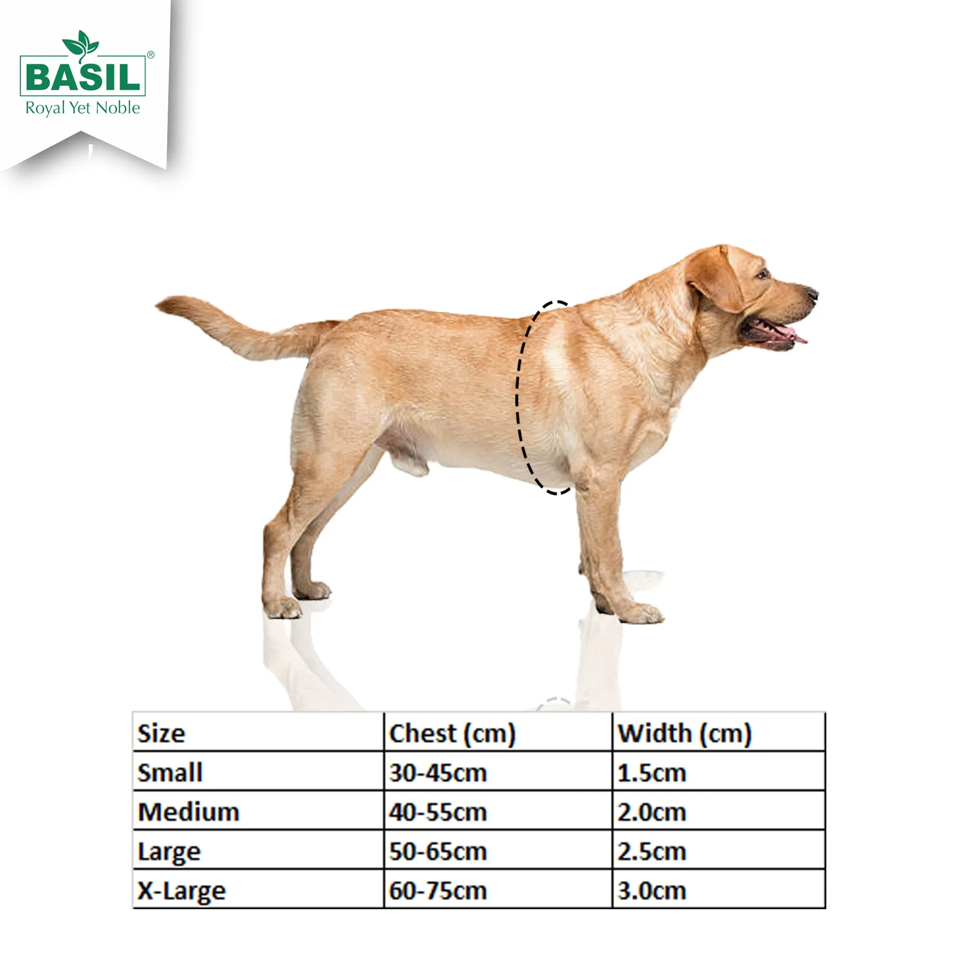 Basil Padded Dog Harness – Brown, Adjustable & Comfortable No-Pull Harness for Walking and Training Dogs of All Sizes