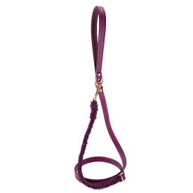 Beverly Classic Leather And Macrame Dog Leash Amethyst