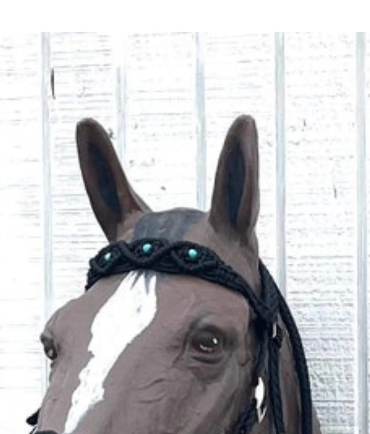 Black Beaded Browband Headstall with a fancy braided browband with matching reins....all sizes.