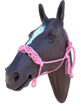 Braided horse halter with rose quartz beads
