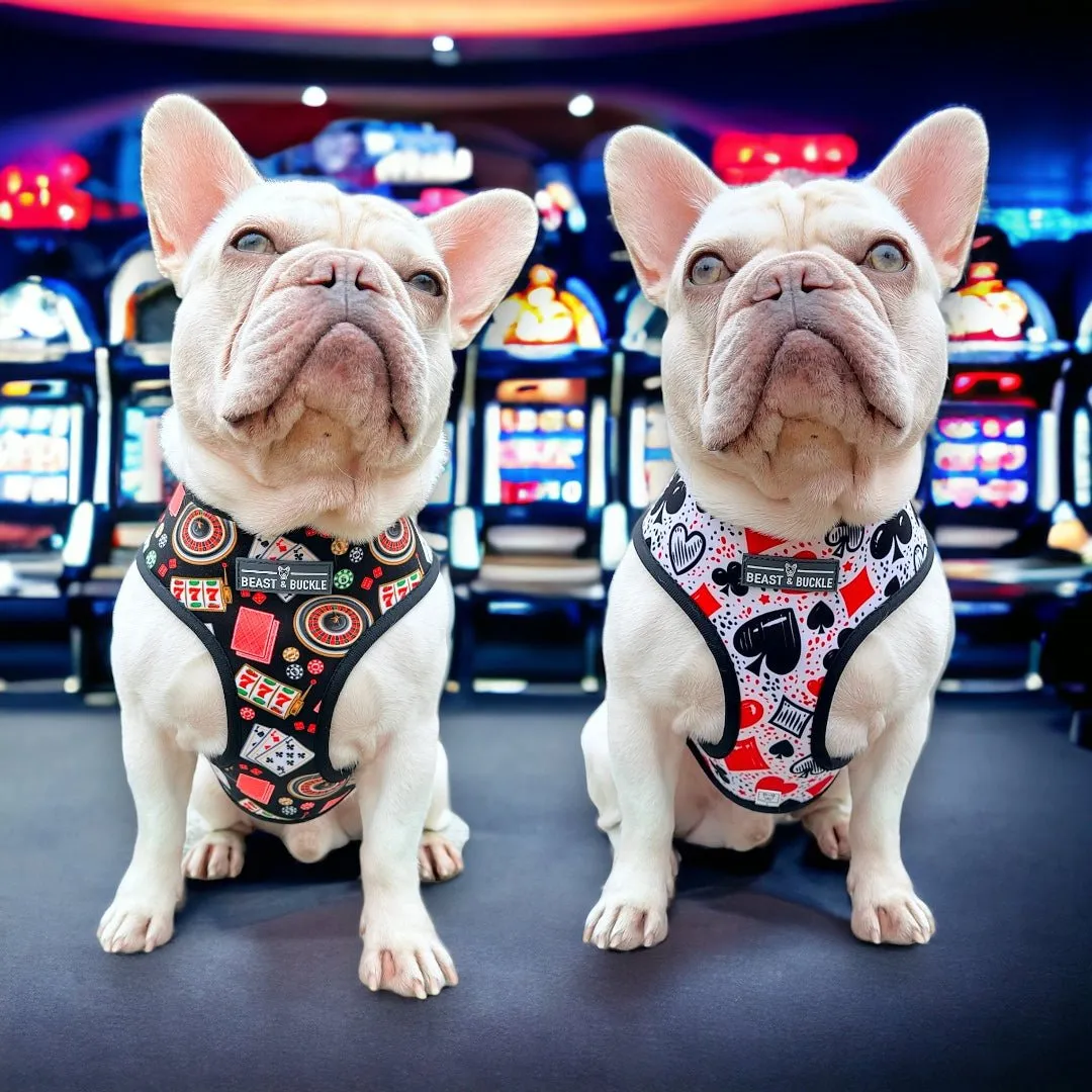 Casino Reversible Dog Harness 2.0 - CLEARANCE