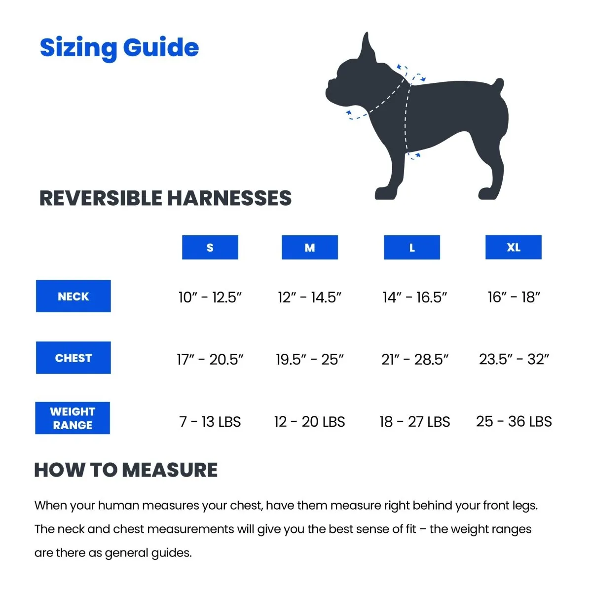 Casino Reversible Dog Harness 2.0 - CLEARANCE