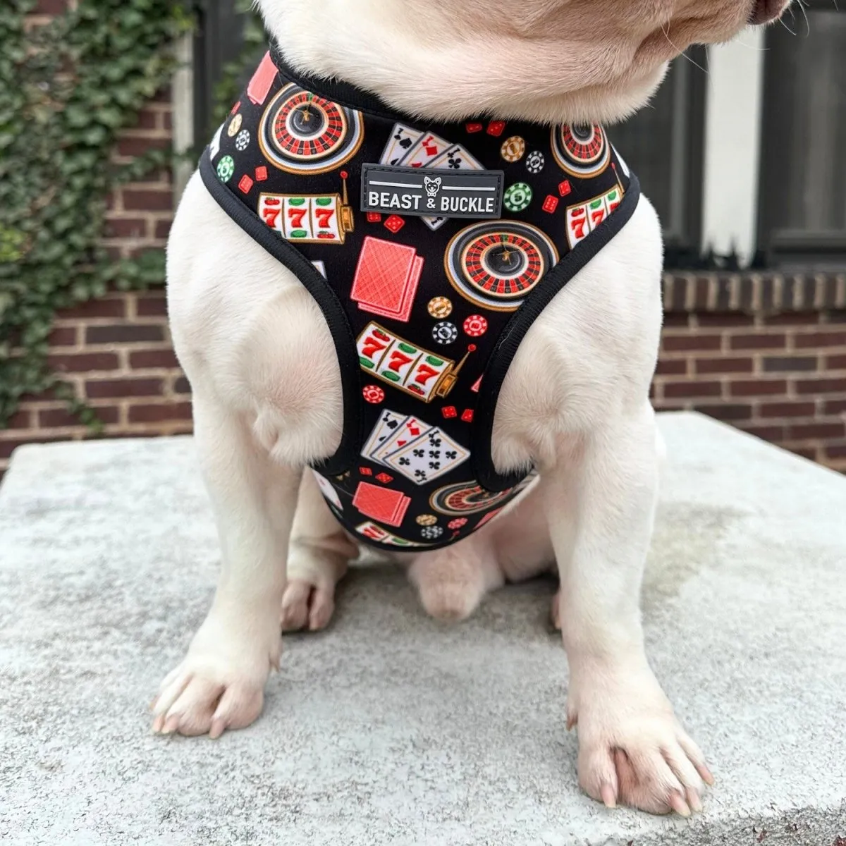 Casino Reversible Dog Harness 2.0 - CLEARANCE