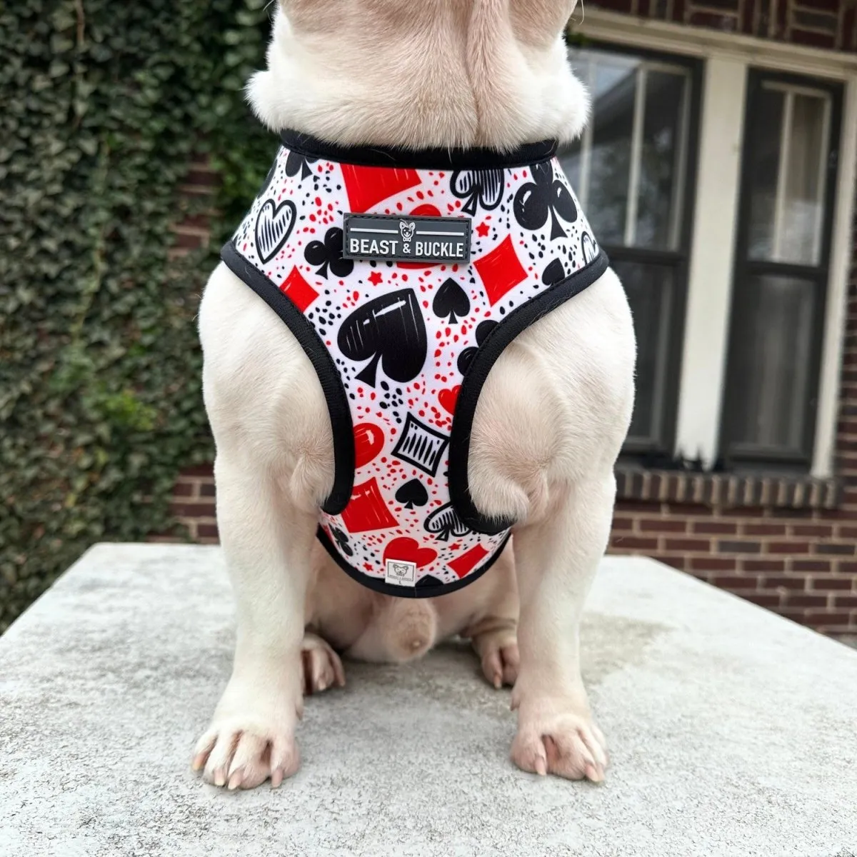 Casino Reversible Dog Harness 2.0 - CLEARANCE