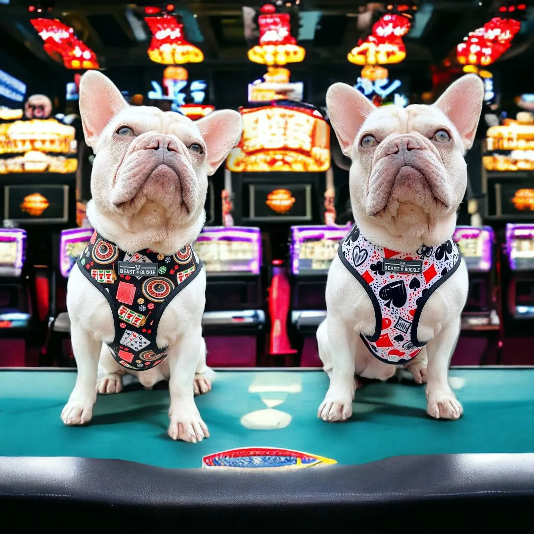 Casino Reversible Dog Harness 2.0 - CLEARANCE