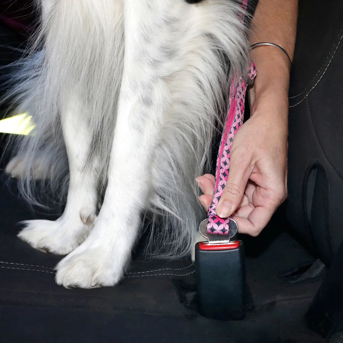 Doog Car Restraint Pongo^^^