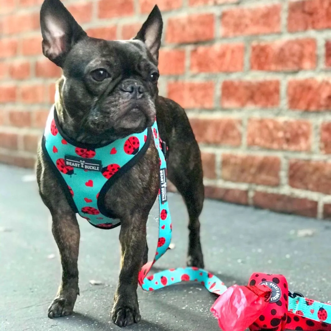 Ladybug Harness & Leash Set