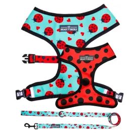 Ladybug Harness & Leash Set