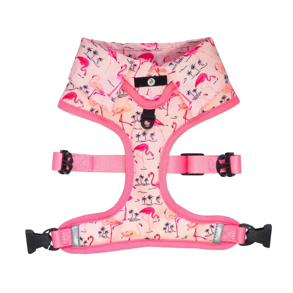 Moo Twig Flock Yeah Dog Shirt Harness
