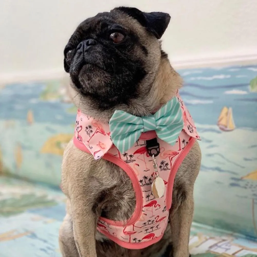 Moo Twig Flock Yeah Dog Shirt Harness