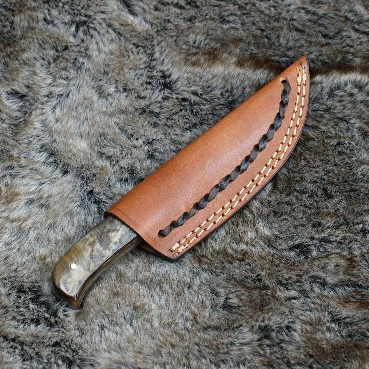 Pulse Compact Knife with Ram Horn Handle
