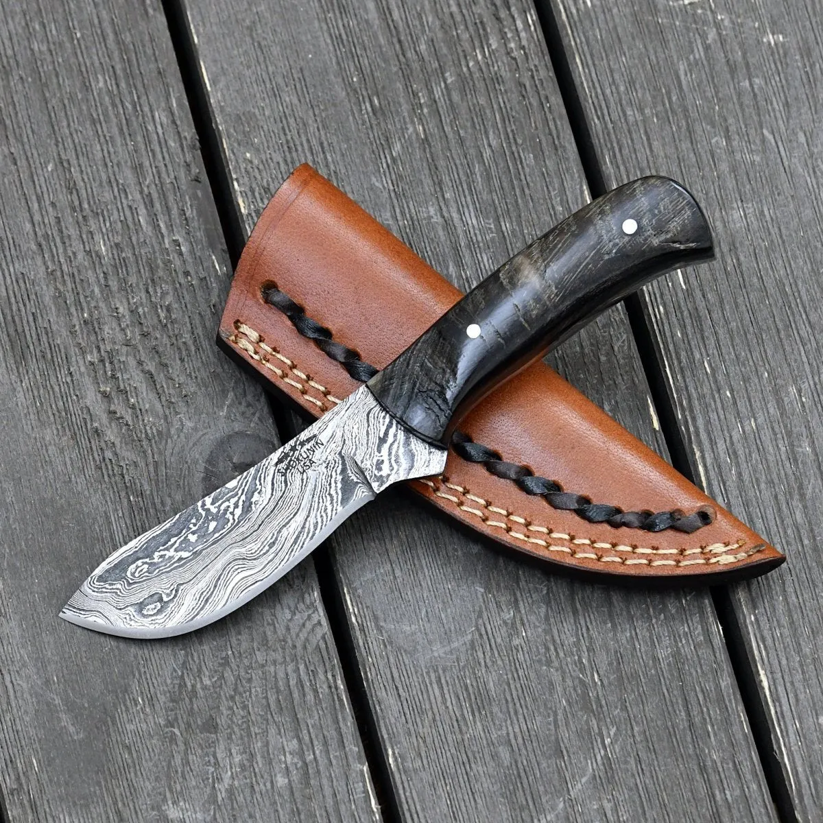 Pulse Compact Knife with Ram Horn Handle